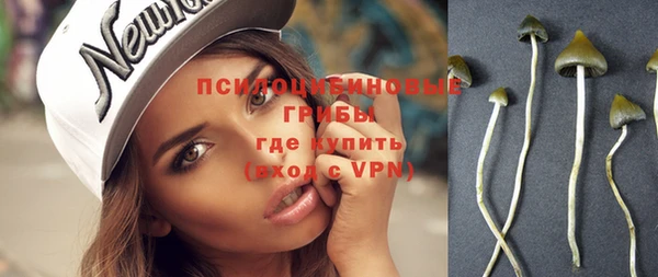 бошки Пересвет