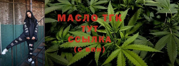 тгк Армянск