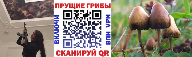 Псилоцибиновые грибы ЛСД  shop клад  Тавда 
